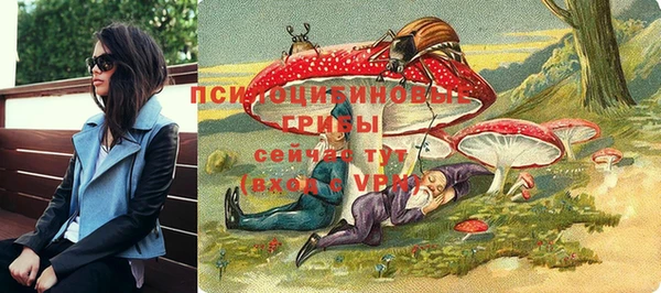 кокс Дмитровск